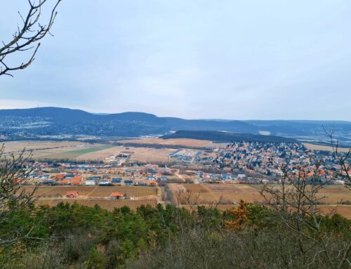 Írás a Pilisborosjenői Hírmondóból: Lazaret terület út- és vízelvezetés beruházás – tervezett lépések