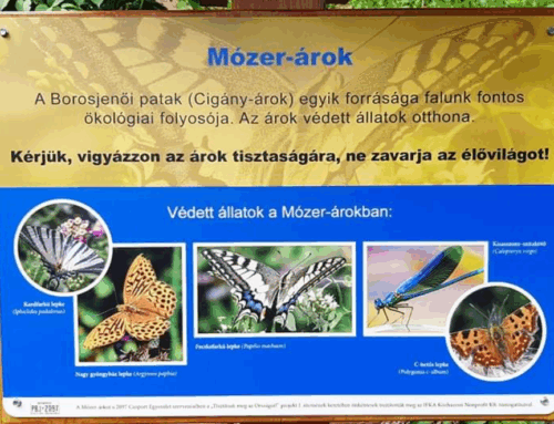 Zöld és kék hírek: Cigány-patak forrása; falunk LIDAR felmérése; Fenntartható Klíma és Akcióterv; művészet a természetért