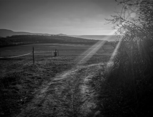 Adventi remény – Péter atya írása