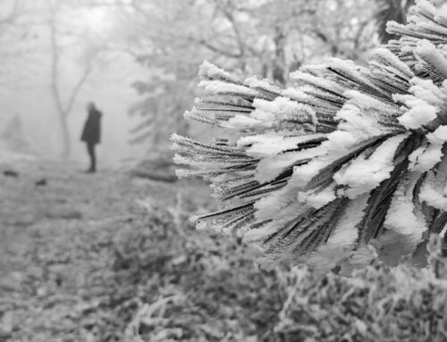 Közeledik a karácsony, készülnek az ajándékcsomagok