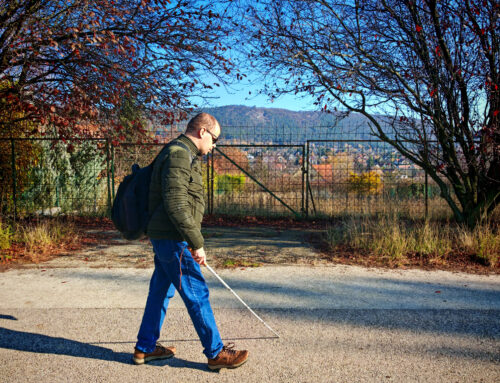 „Én abszolút elboldogulok egyedül a faluban”  Csányi Márton története – derű, hit és kitartás Pilisborosjenőn
