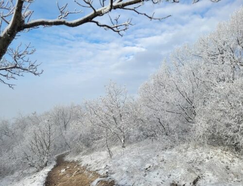 Indul a Kevély Körzés!