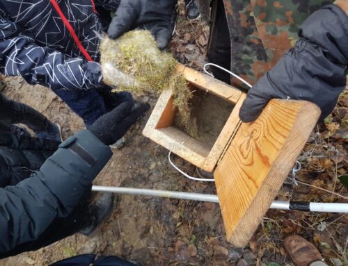 Tegyünk együtt a madarakért – önkéntes madárodú-takarítás