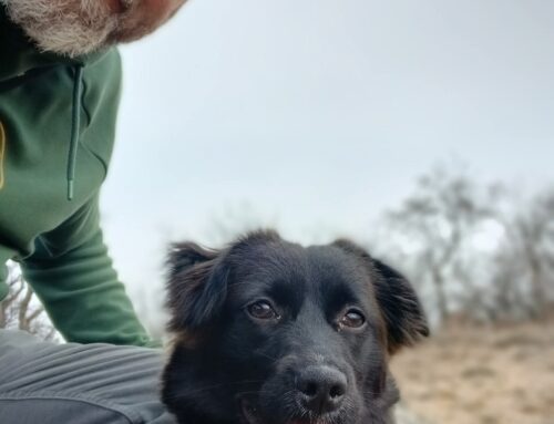 Tudósítás hó alól – Tömöri Balázs polgármester téli jegyzete a Pilisborosjenői Hírmondóban