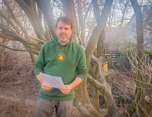 Polgármesteri videójegyzet – 2026. február 26.