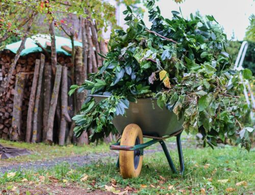 Zöldhulladékos zsákok átvehetőek