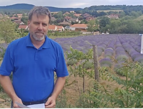 Polgármesteri videójegyzet – 2026. június 11.