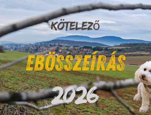 Ebösszeírás