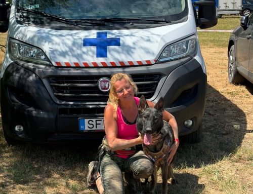 Szeretni, érteni és megmenteni – Hivatás és civil kurázsi az Ürömi Állatotthonban és a Duhajdombi Kutyaiskolában
